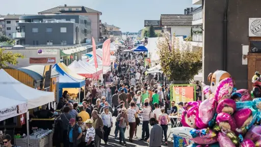 Inscription exposant Fête de la Châtaigne 2025